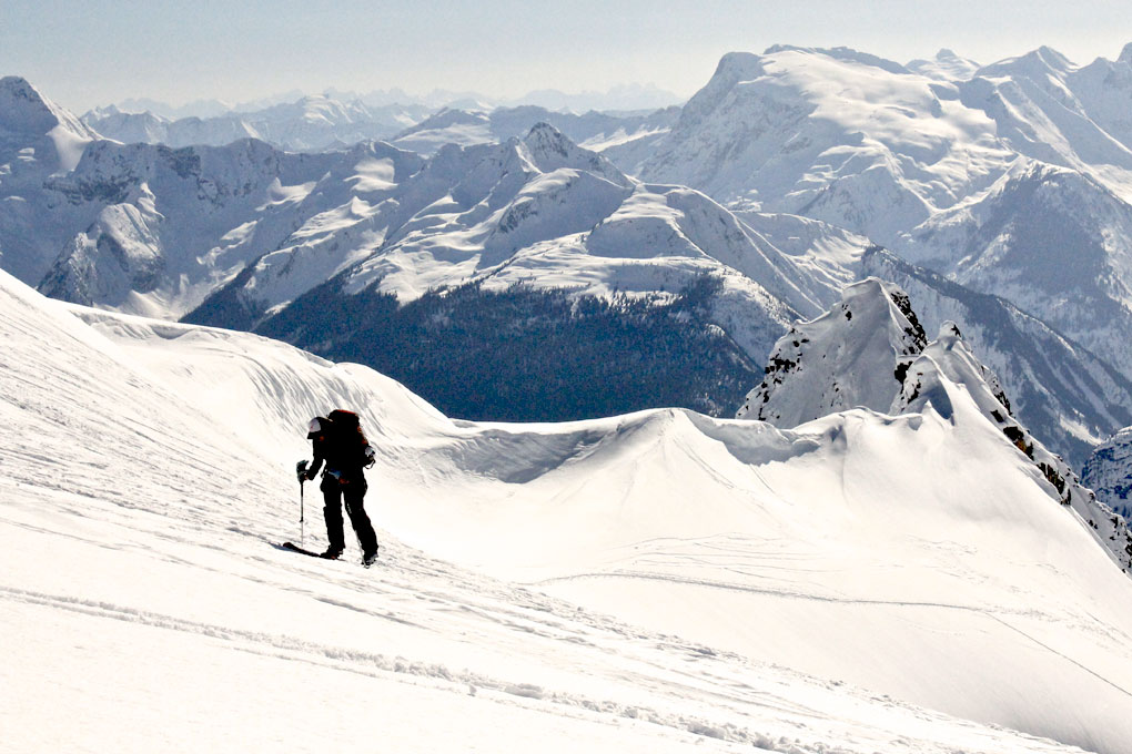 Rottefella NTN Freedom Binding Blister