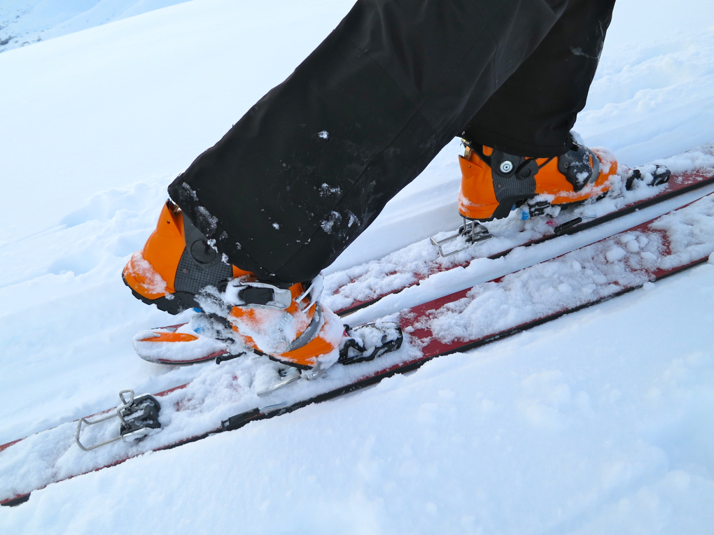 2nd Look Rottefella NTN Freedom Binding Blister