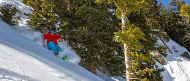 Topic of the Week - Easy vs. Demanding Skis, Blister Gear Review