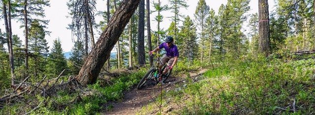 Noah Bodman on the Maxxis Minion DHF & DHRII WT tires, Whitefish, MT.