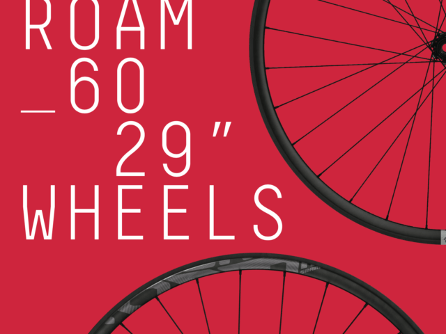 Noah Bodman reviews Sram's ROAM 60 29” wheels for Blister Gear Review