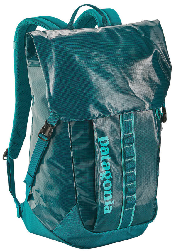 Patagonia Black Hole 32L Backpack Blister