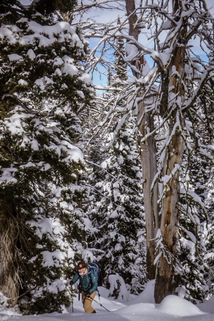 Cy Whitling reviews the Big Sky Mountain Products Nylon Climbing Skins for Blister