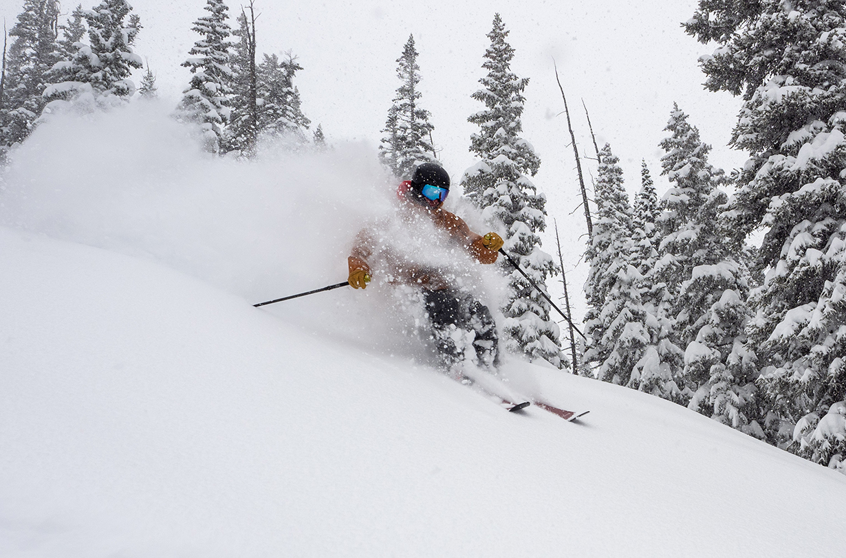 snowdrifter