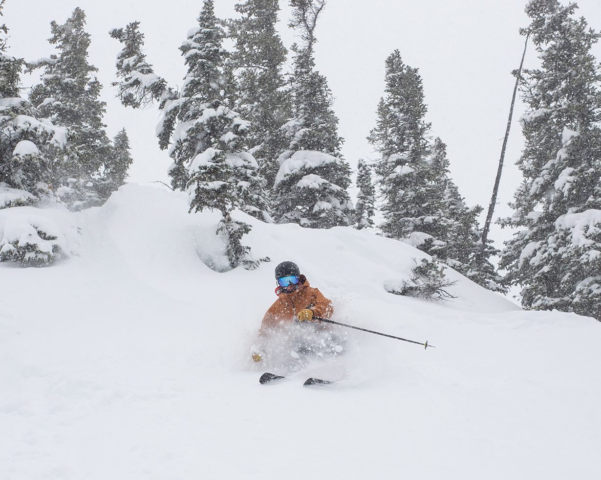snowdrifter