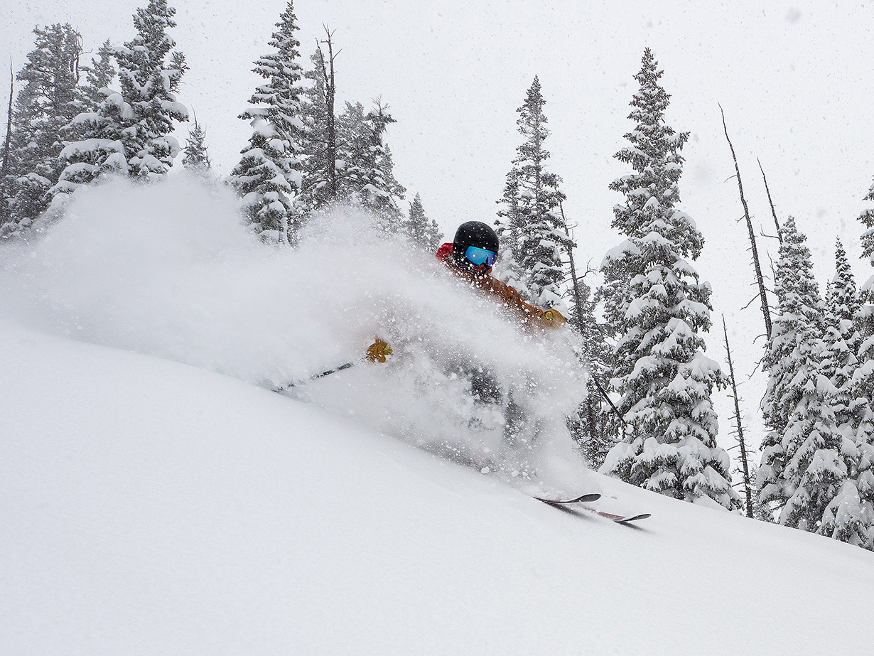 snowdrifter