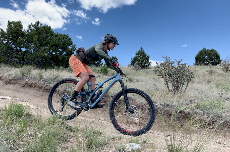 Mtn Bike Chamois Roundup Blister