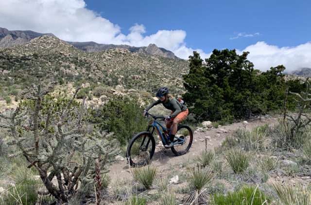 Kara Williard reviews the Wild Rye Freel Short, Marion Chammy, and Sandia Shirt for BLISTER