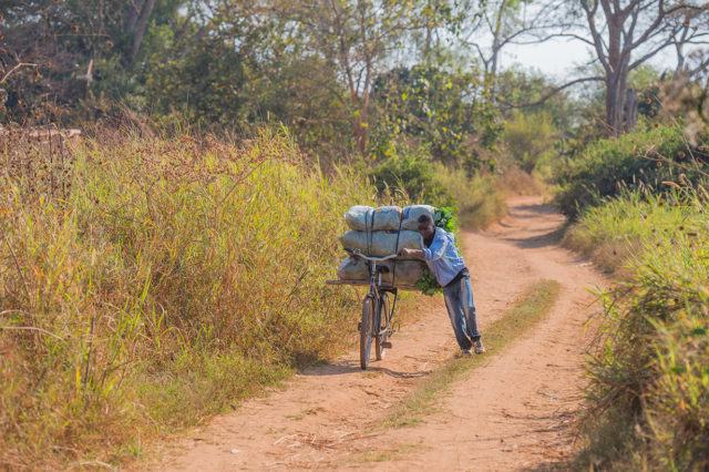 Jonathan Ellsworth talks with World Bicycle Relief CEO, Dave Neiswander on Blister's Bikes & Big Ideas Podcast