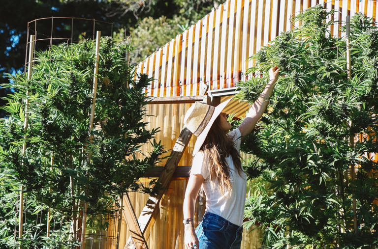 Sam Shaheen talks with Jungmaven founder, Rob Jungmann, about hemp, its history, its many uses, and its future on Blister's GEAR:30 podcast