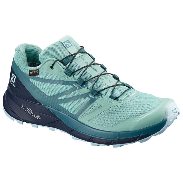 salomon 2019 running