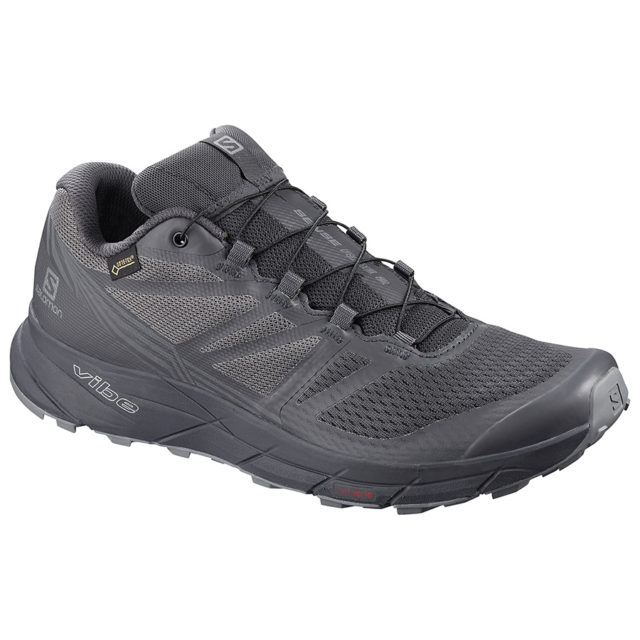 Salomon new on sale shoes 2019