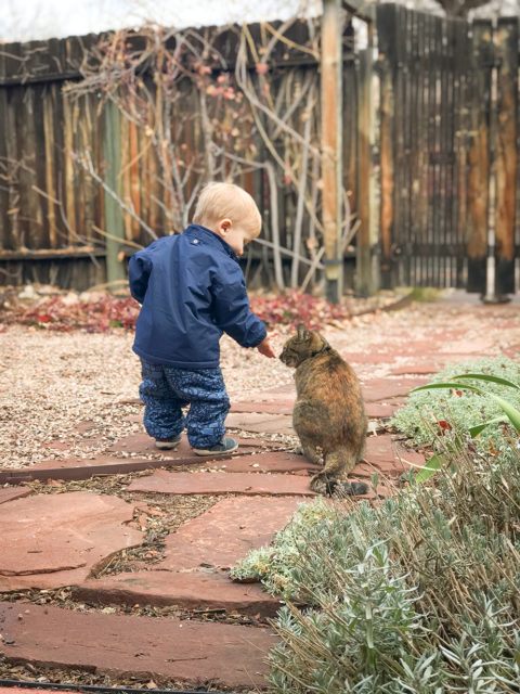 Winter Baby Outerwear Roundup