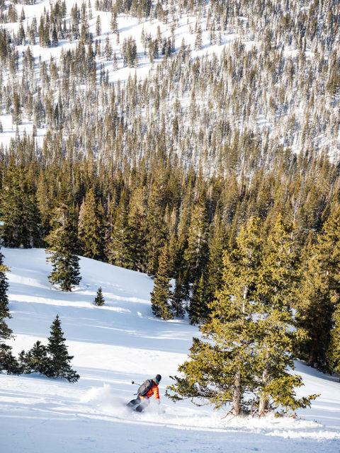 Blister reviewers Luke Koppa and Jonathan Ellsworth head to Eleven Cat Skiing in Irwin, CO; Trip Report