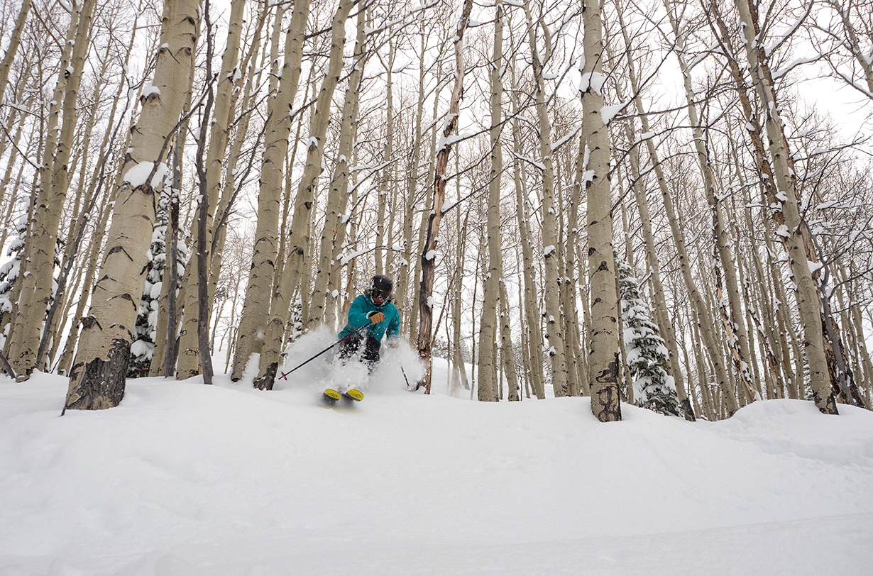 Deep Dive: WNDR Alpine Intention 110 | Blister