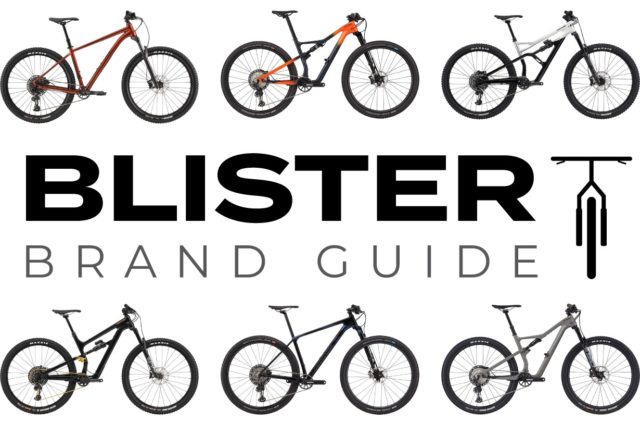 Blister Brand guide