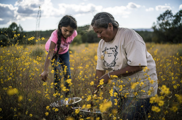 Food Sovereignty, Indigenous Rights, &#038; the Film, Gather (Ep.131), BLISTER