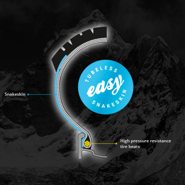 Schwalbe Compounds and Casings Overview