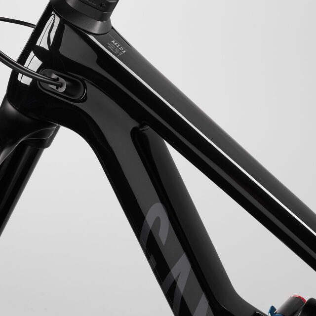 Canyon spectral on online 2021 review