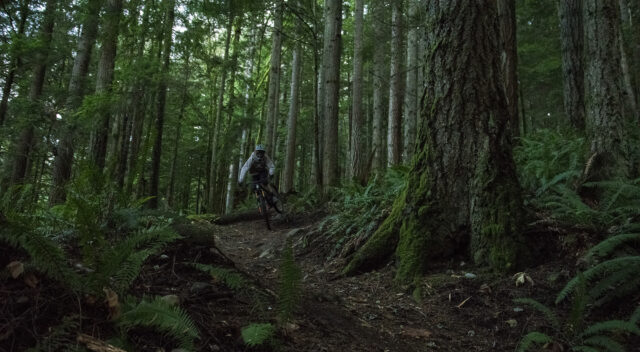 Blister's 2020 mountain bike jacket roundup