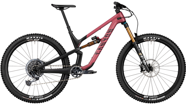 David Golay reviews the Canyon Spectral 29 for Blister