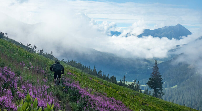 401 trail, Crested Butte, Colorado