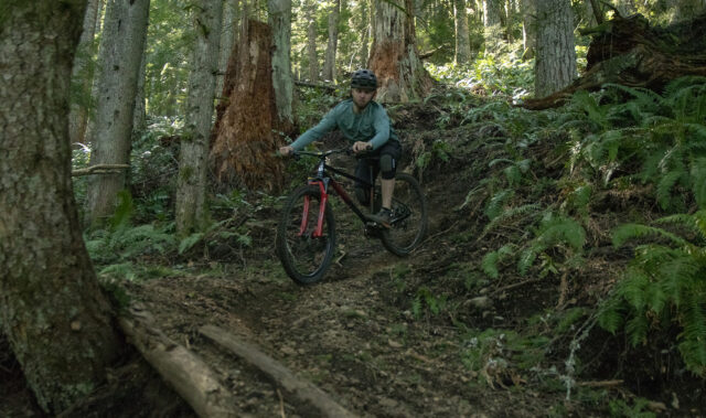 Would You Rather: Dream Hardtail or Mid-Price Full Suspension