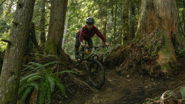 Blister Enduro Fork Roundup