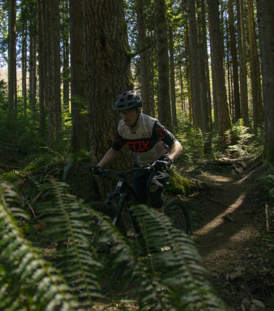 2021 Marin Alpine Trail, BLISTER