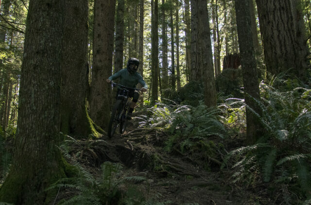 2022 Trek Session Flash Review
