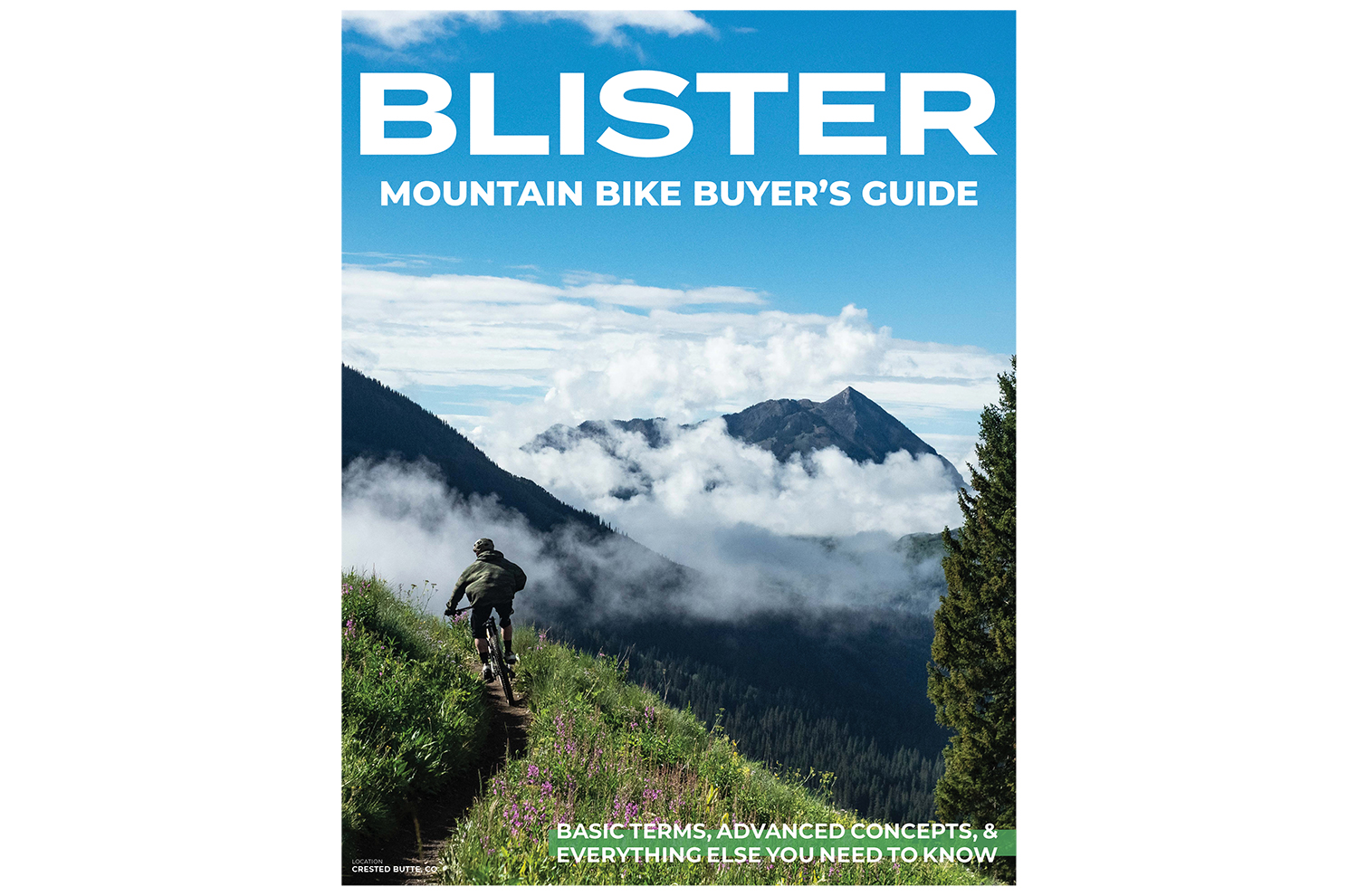 Blister Mountain Bike Buyer's Guide