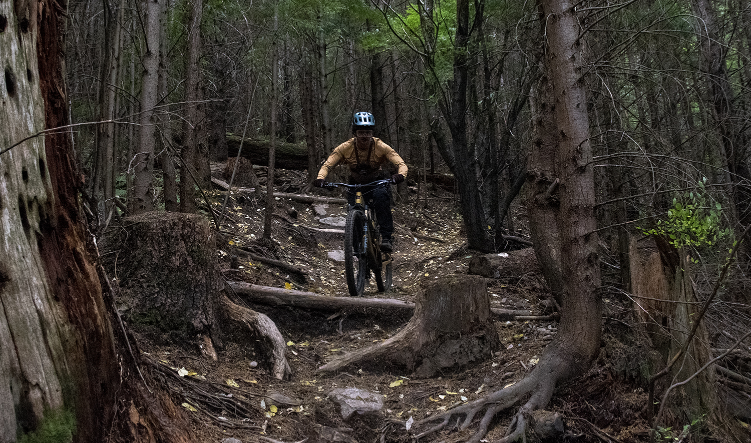 David Golay and Dylan Wood Review the Santa Cruz Bronson for Blister