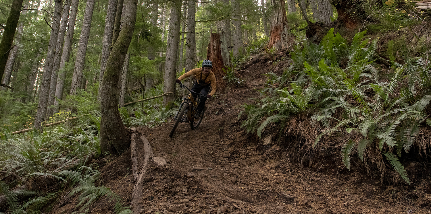 David Golay and Dylan Wood Review the Santa Cruz Bronson for Blister