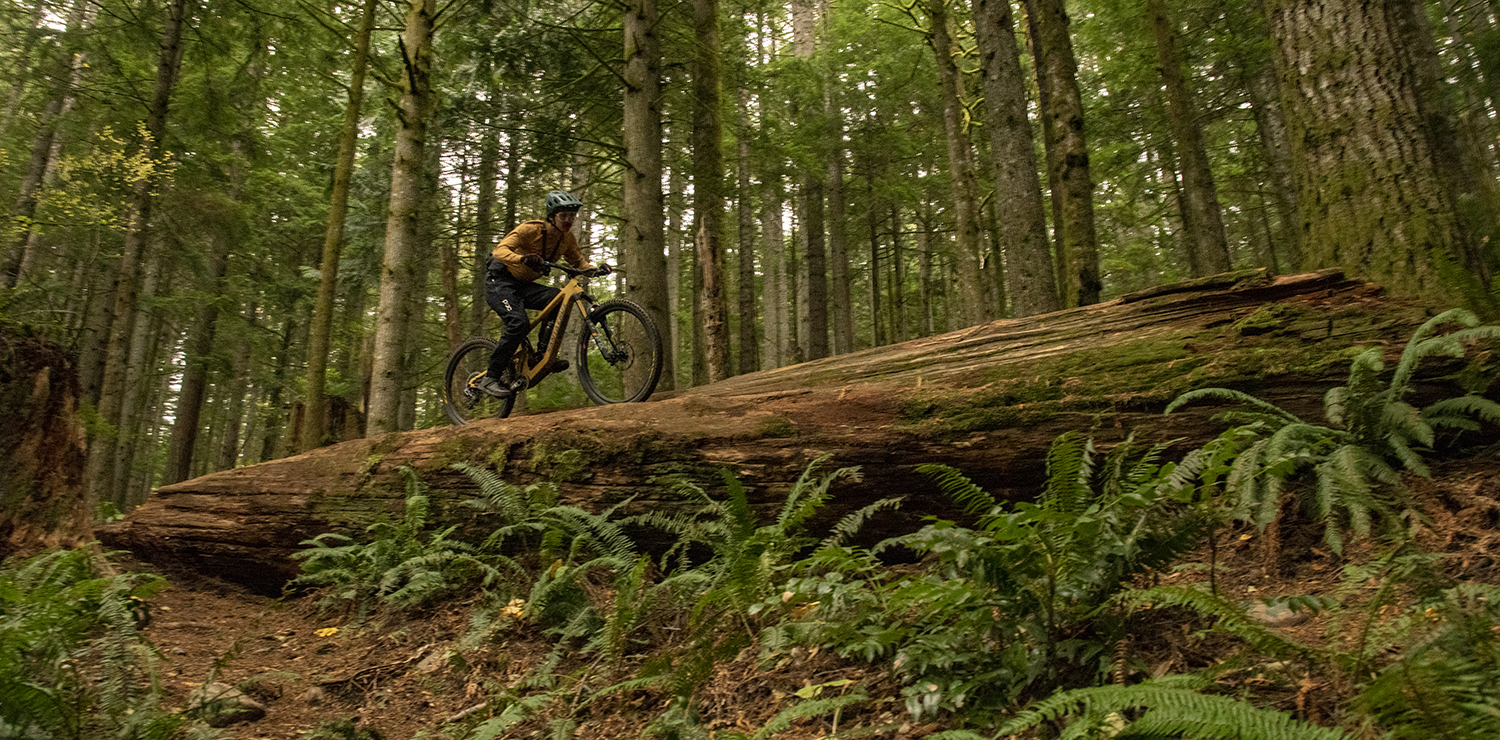 David Golay and Dylan Wood Review the Santa Cruz Bronson for Blister