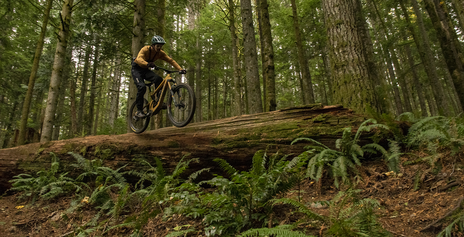 Santa cruz best sale bikes trail