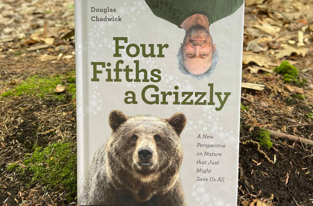 This week on the Blister Podcast we discuss grizzlies, whales, microbes, humankind, & the future of the world with the wildlife biologist & author, Doug Chadwick. All of these are topics in Doug’s excellent new book, Four Fifths a Grizzly: A New Perspective on Nature that Just Might Save Us All.