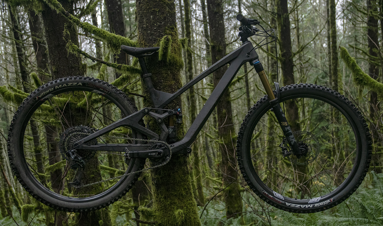 David Golay Blister mountain bike review on the We Are One Arrival