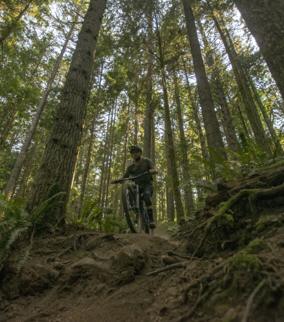 Would You Rather: Dream Hardtail or Mid-Price Full Suspension? BLISTER