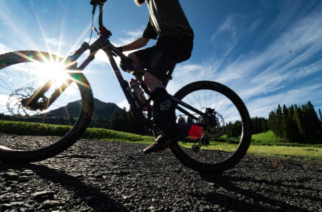 Blister Guide to Mountain Bike Tires