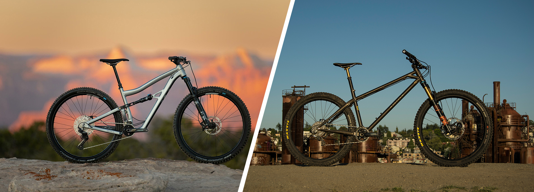 Would You Rather Dream Hardtail or Mid Price Full Suspension