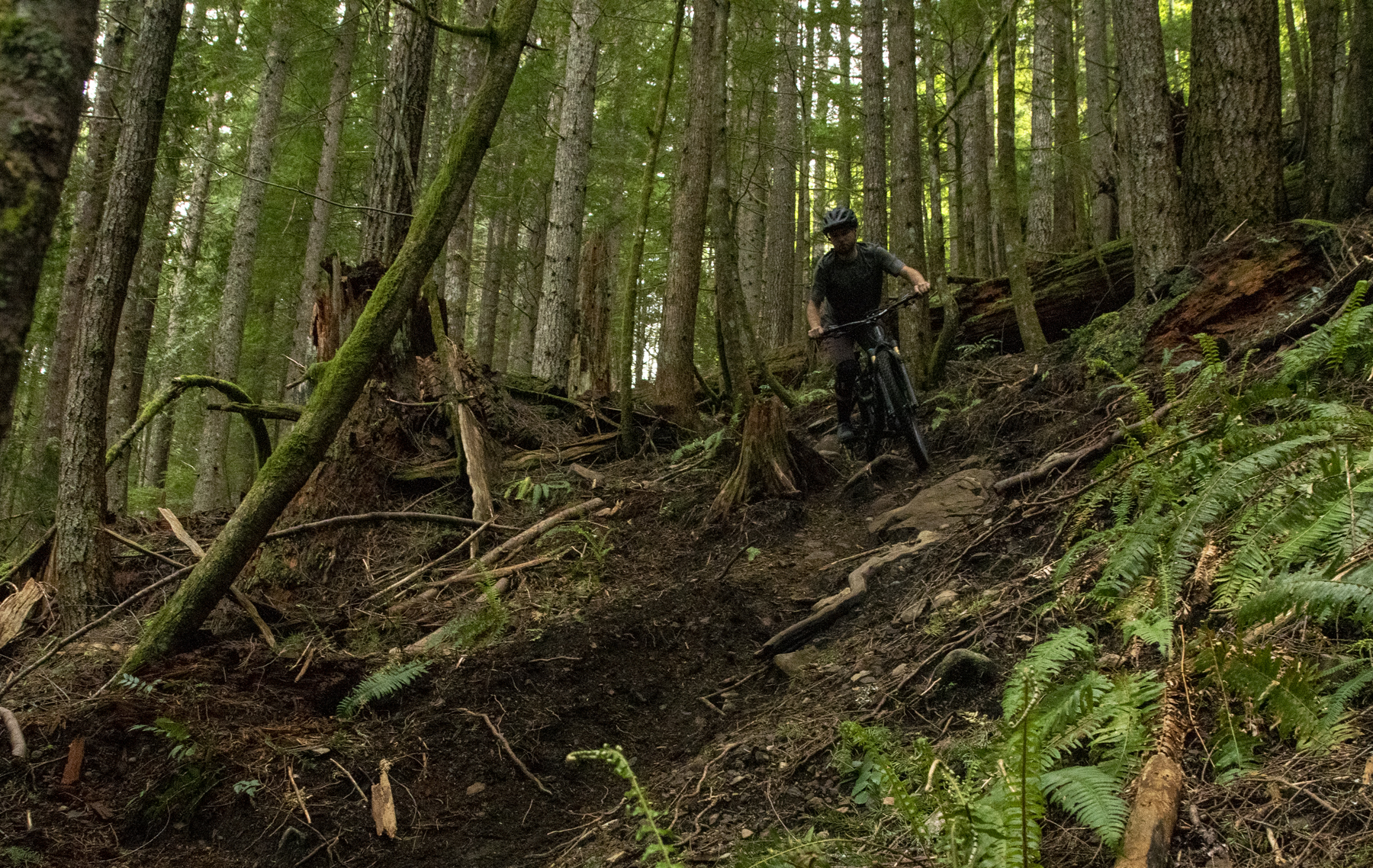 David Golay and Zack Henderson review the Orbea Rallon for Blister