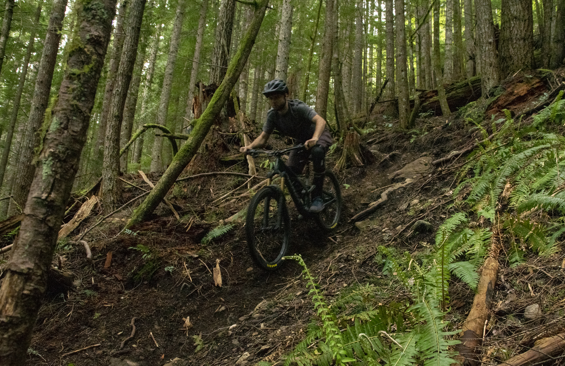 David Golay and Zack Henderson review the Orbea Rallon for Blister