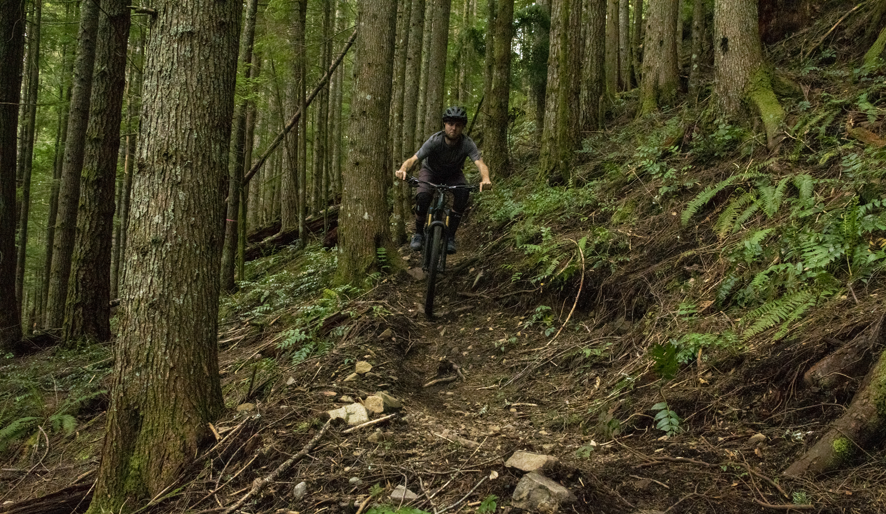 David Golay and Zack Henderson review the Orbea Rallon for Blister