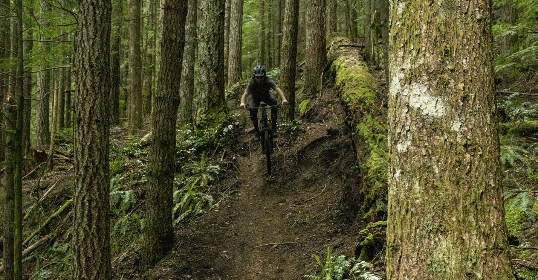 Would You Rather: Dream Hardtail or Mid-Price Full Suspension? BLISTER