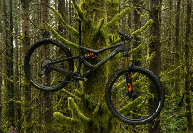 David Golay reviews the Orbea Occam LT for Blister