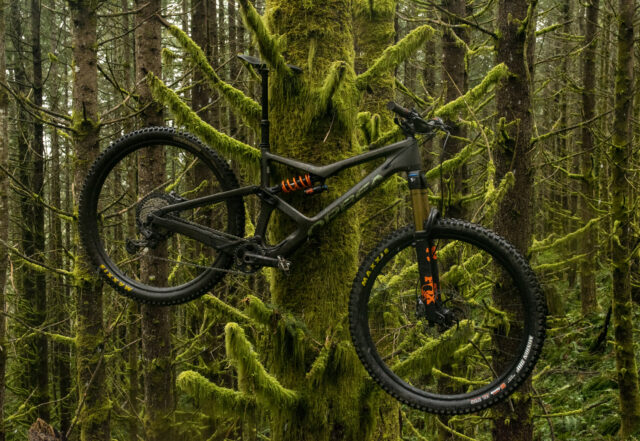 2022 Orbea Occam Occam LT Review BLISTER