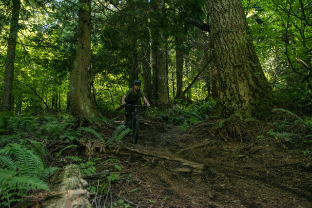 David Golay Blister mountain bike review on the Guerrilla Gravity Pedalhead