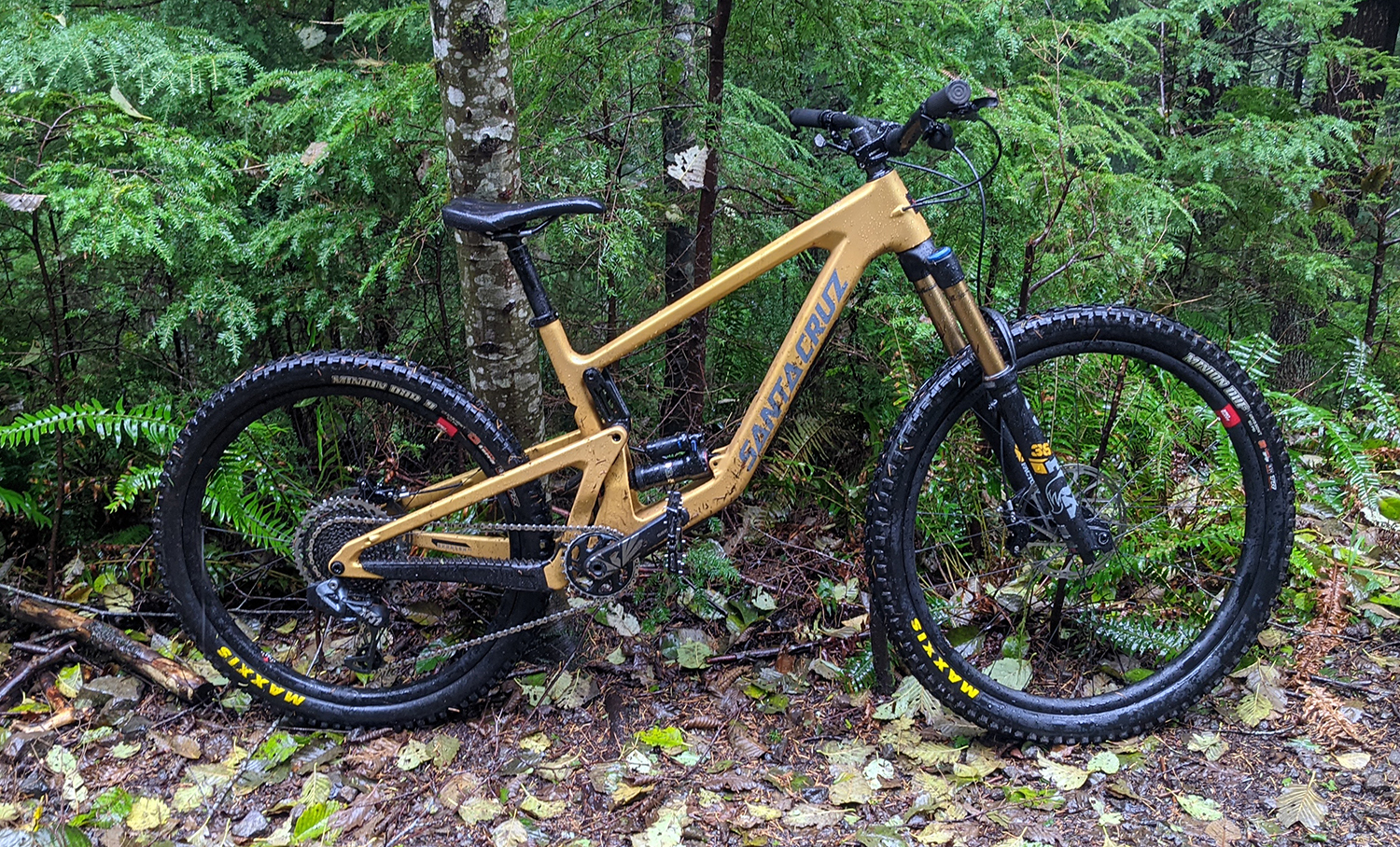 Trek remedy vs santa cruz online bronson