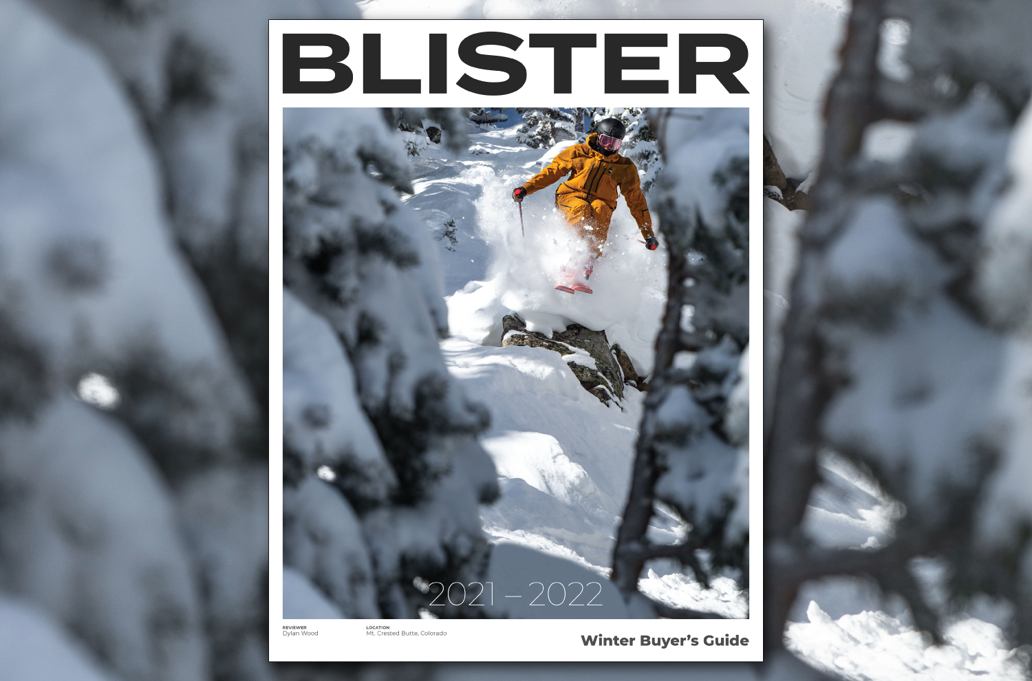 Read Now 2021 2022 Blister Winter Buyer s Guide Ski Buyer s Guide