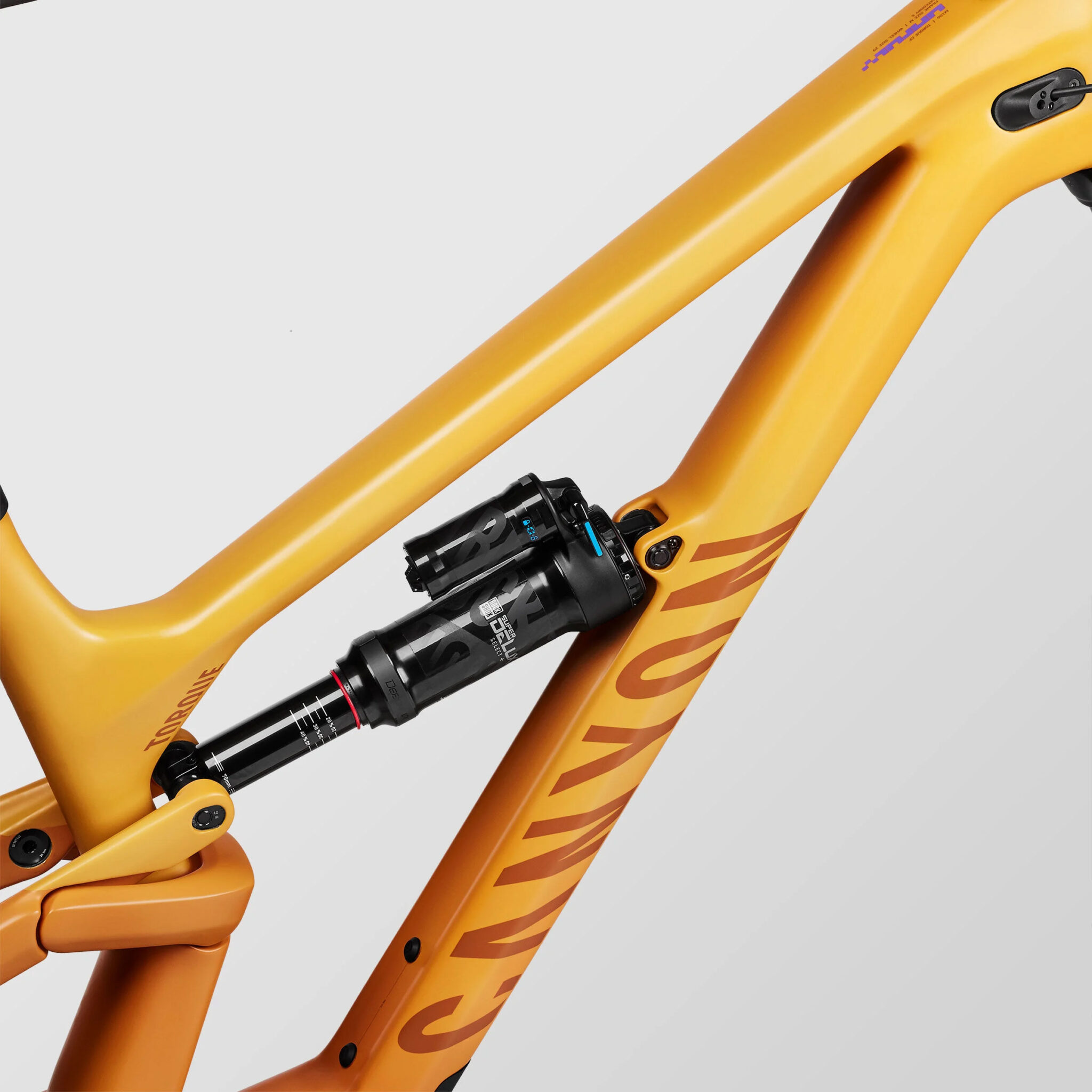 canyon torque frame